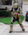/album/fenykepgaleria/chief-dog-walking6-jpg/